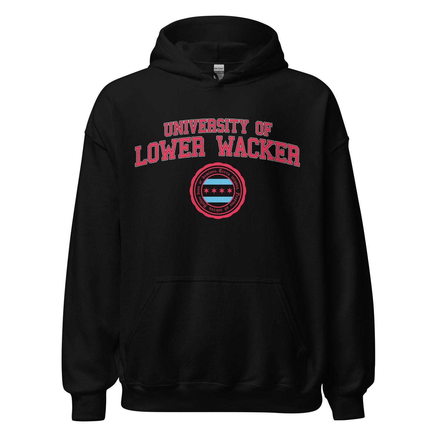 University of Lower Wacker - Alumni Unisex Hoodie