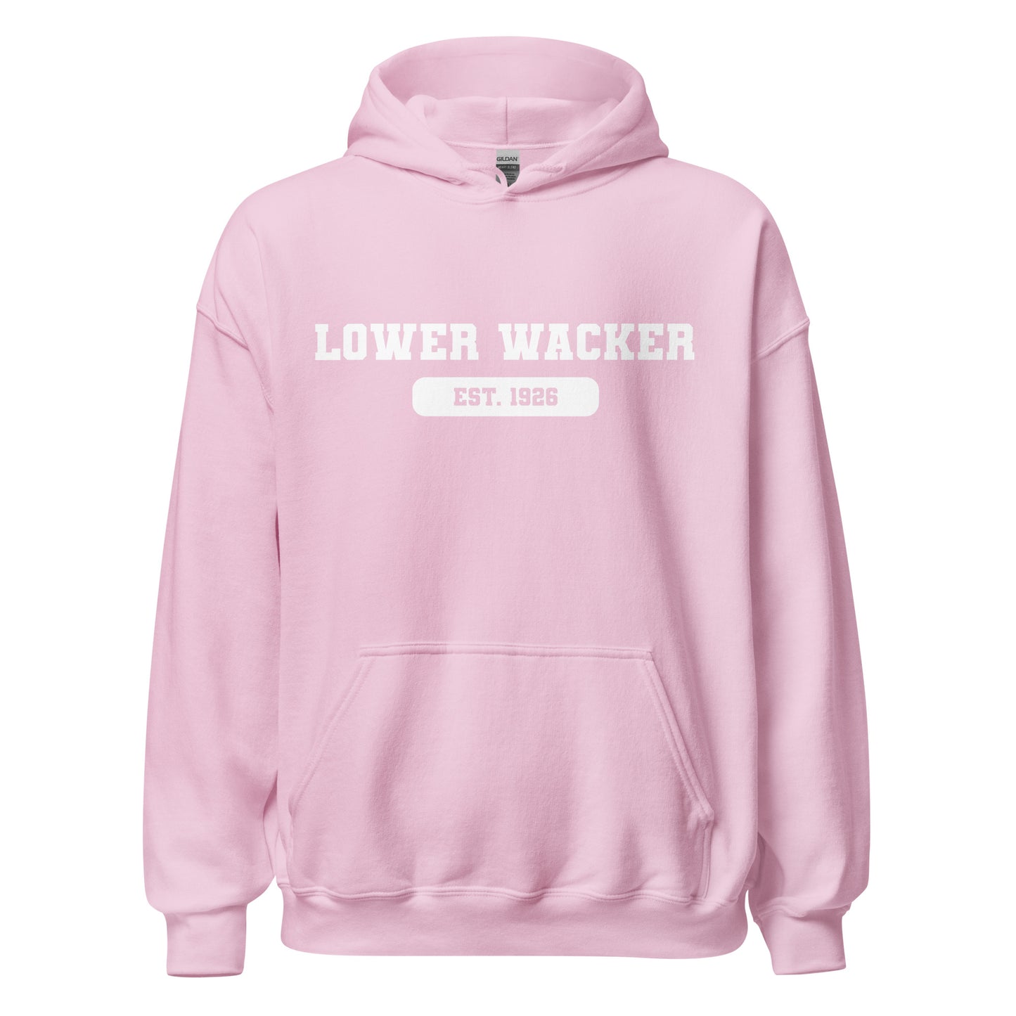 Lower Wacker Highschool - AP Hoodie