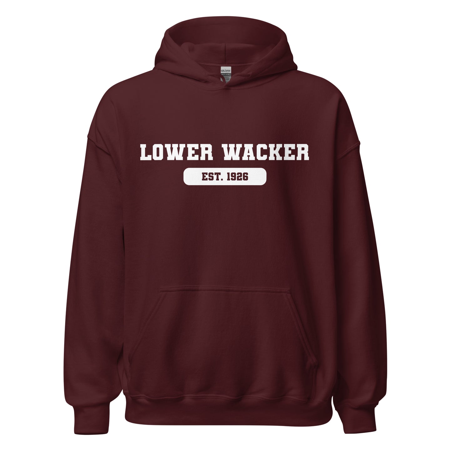 Lower Wacker Highschool - AP Hoodie