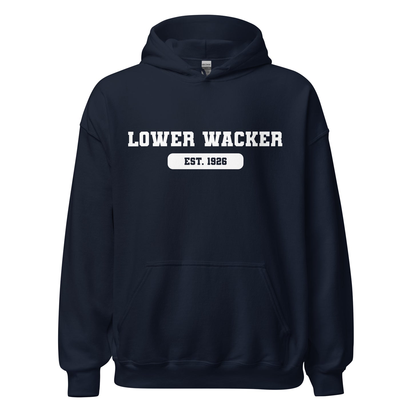 Lower Wacker Highschool - AP Hoodie