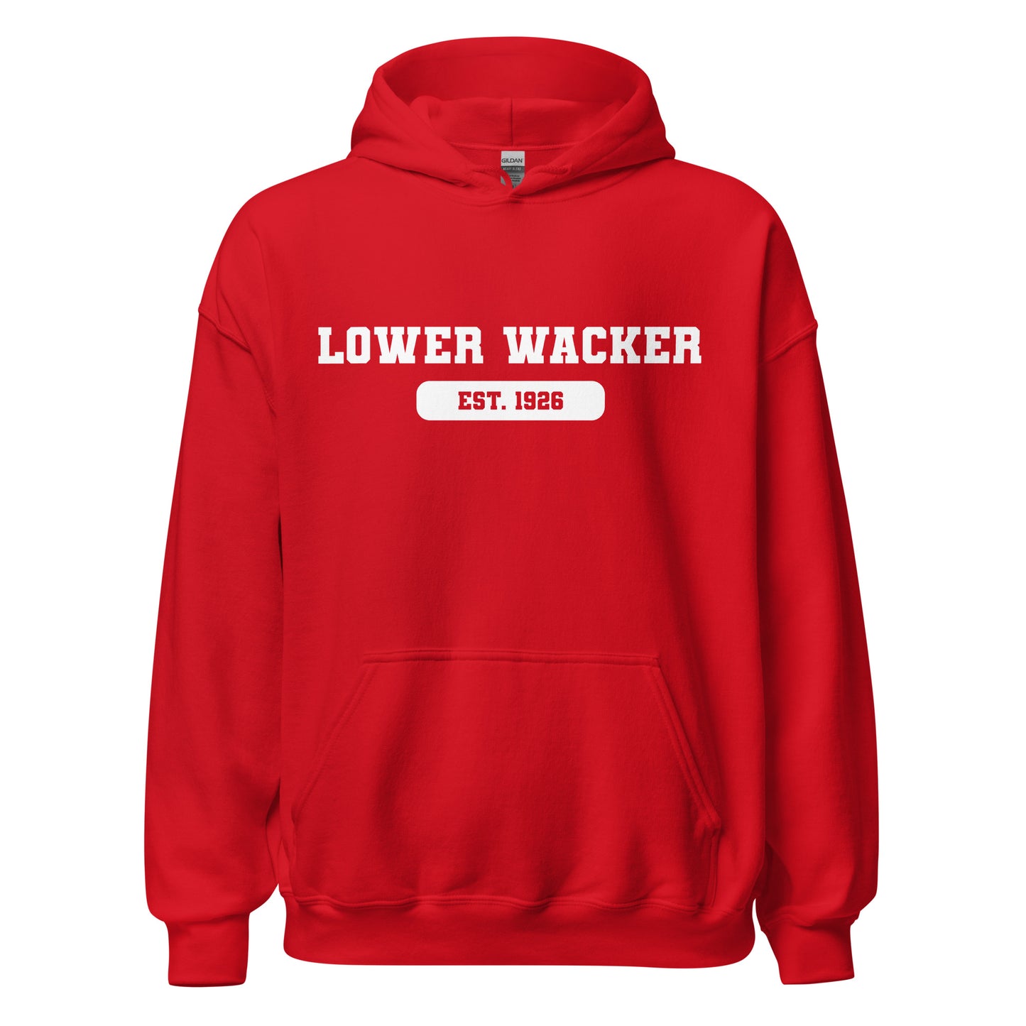 Lower Wacker Highschool - AP Hoodie