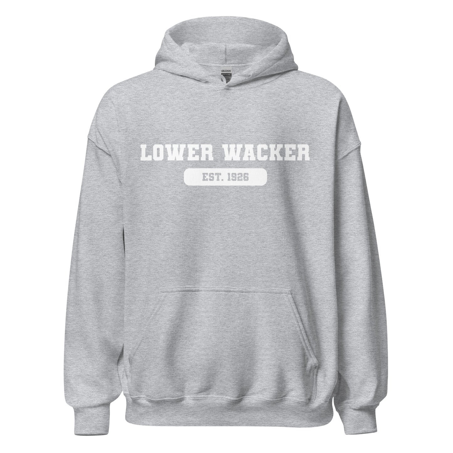 Lower Wacker Highschool - AP Hoodie